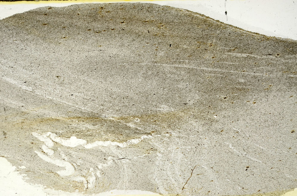 Plane Polarized, S90539