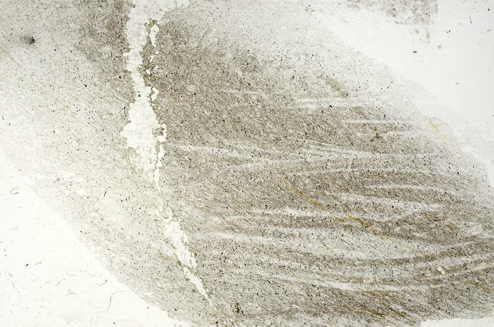 Plane Polarized, S90545