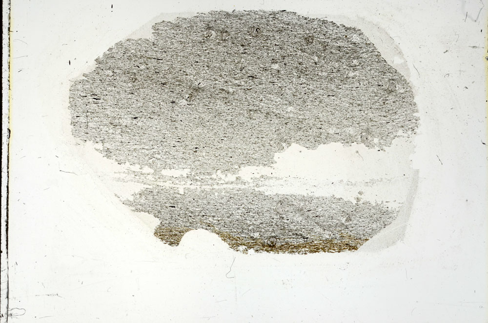 Plane Polarized, S90548