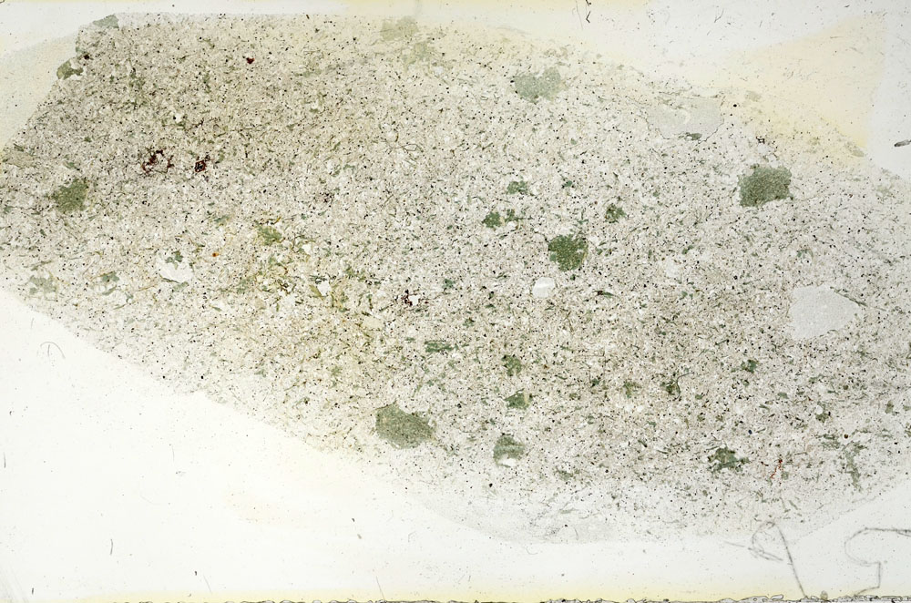 Plane Polarized, S90554