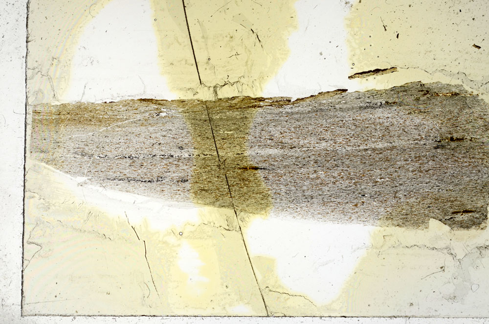 Plane Polarized, S90555