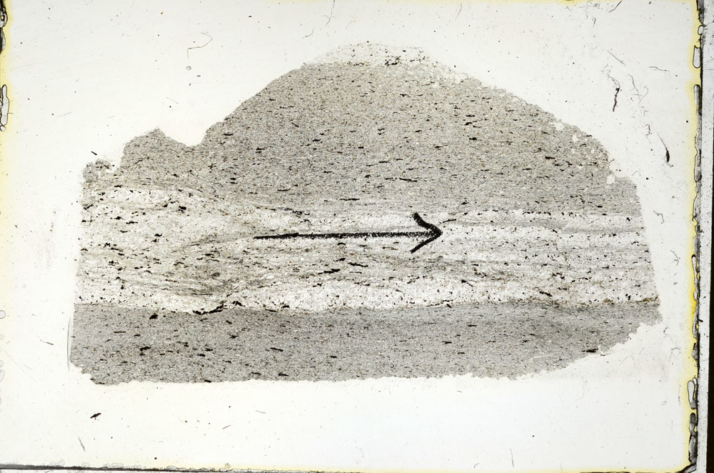 Plane Polarized, S90583