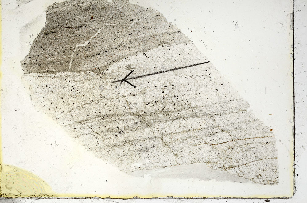 Plane Polarized, S90584