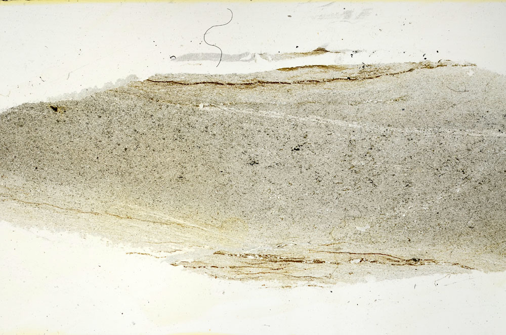 Plane Polarized, S90632