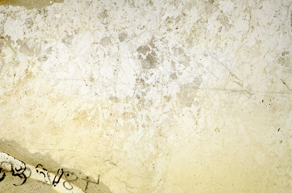 Plane Polarized, S90633