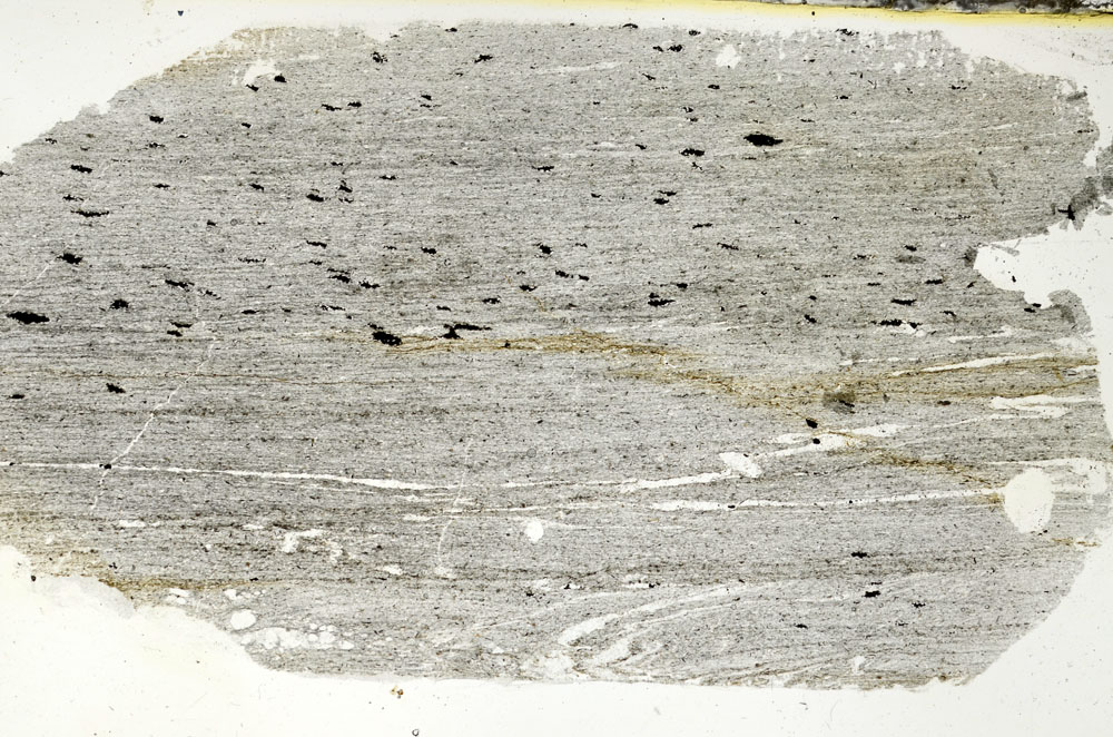 Plane Polarized, S90644