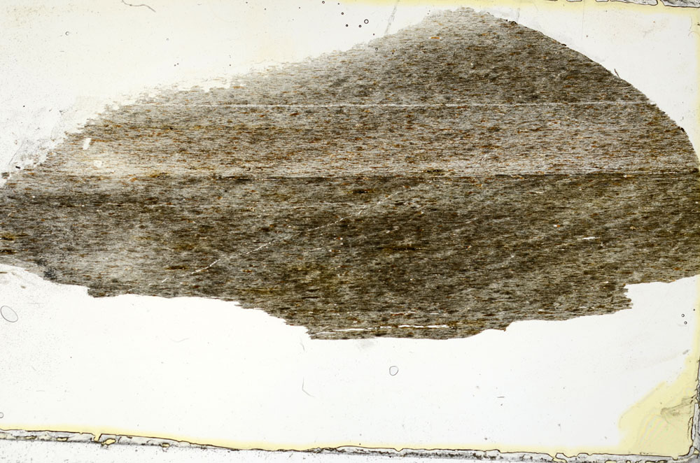 Plane Polarized, S90647