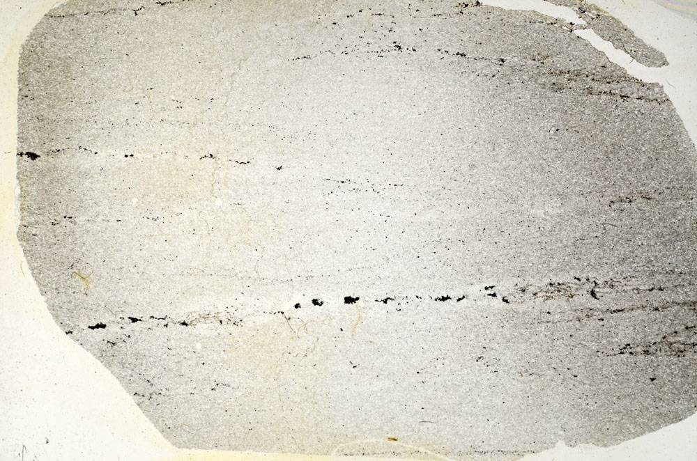 Plane Polarized, S90648