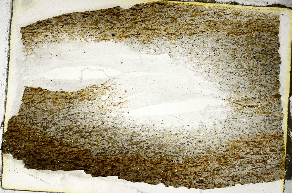 Plane Polarized, S90655