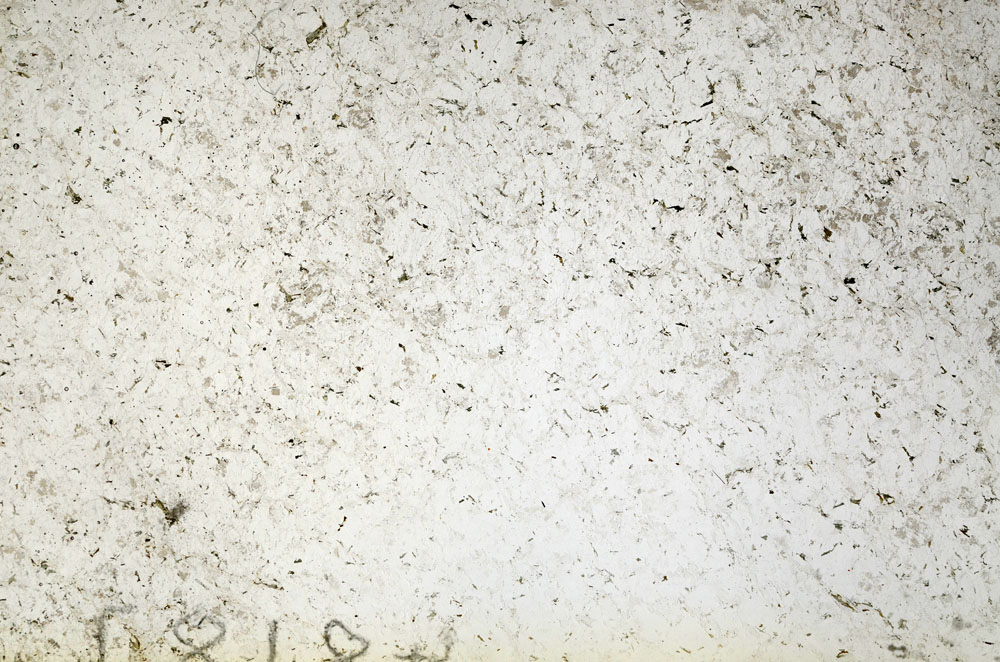 Plane Polarized, S90663