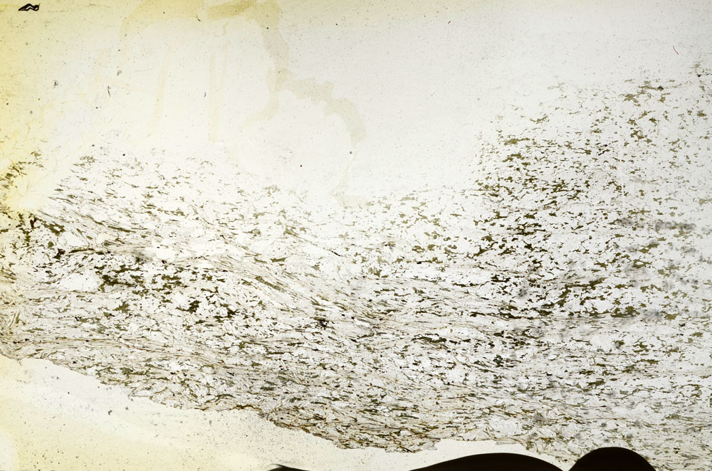 Plane Polarized, S90665