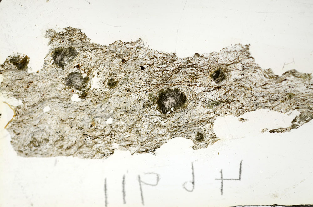 Plane Polarized, S90668