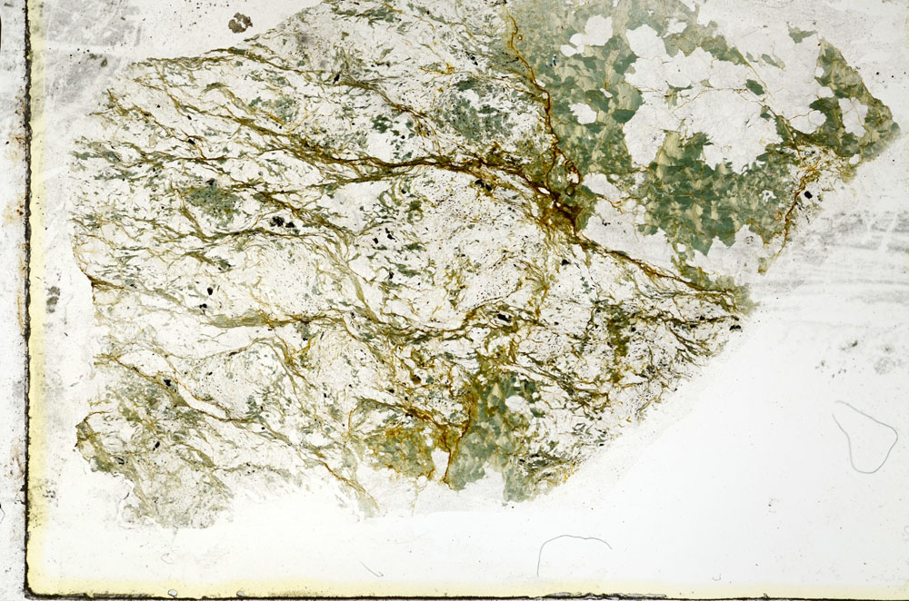 Plane Polarized, S92194