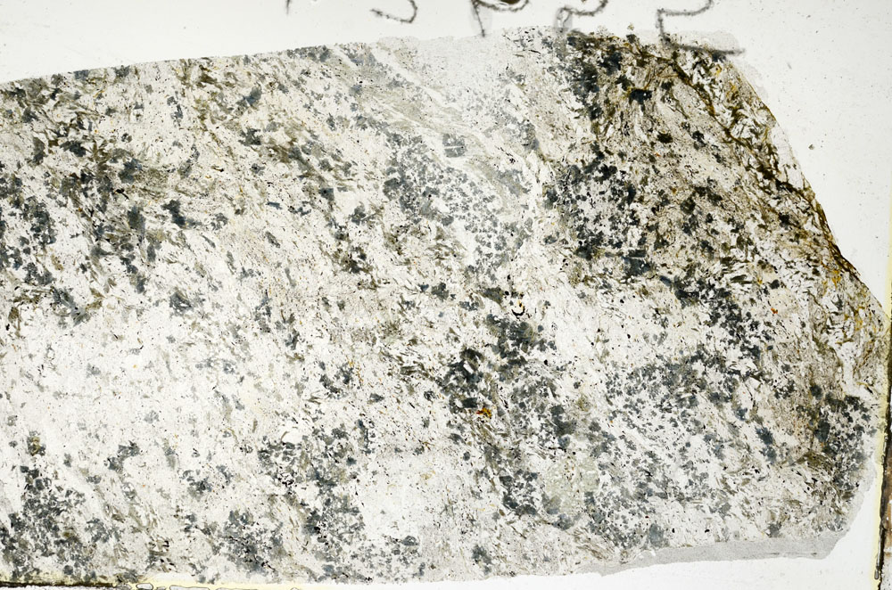 Plane Polarized, S92205