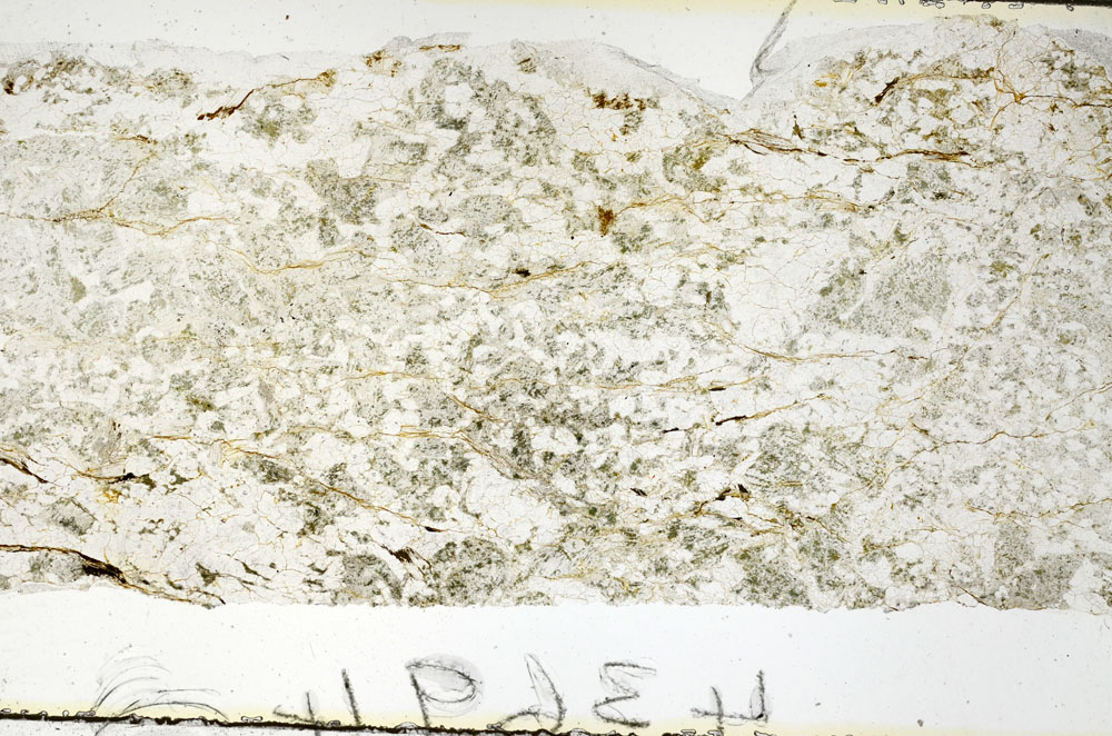 Plane Polarized, S92242