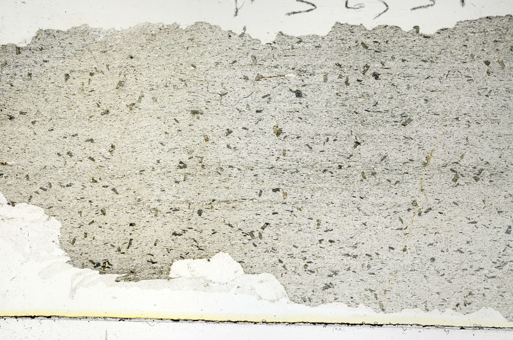 Plane Polarized, S92323/A