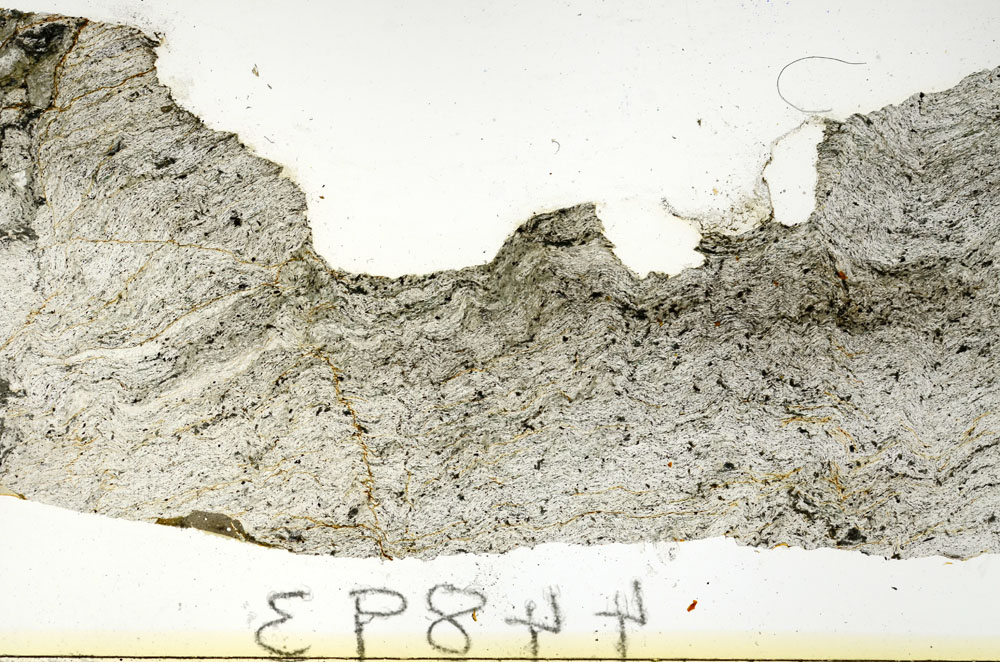 Plane Polarized, S92382