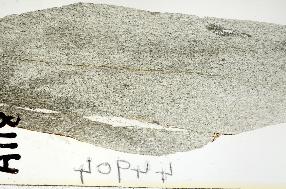 Plane Polarized, S92389