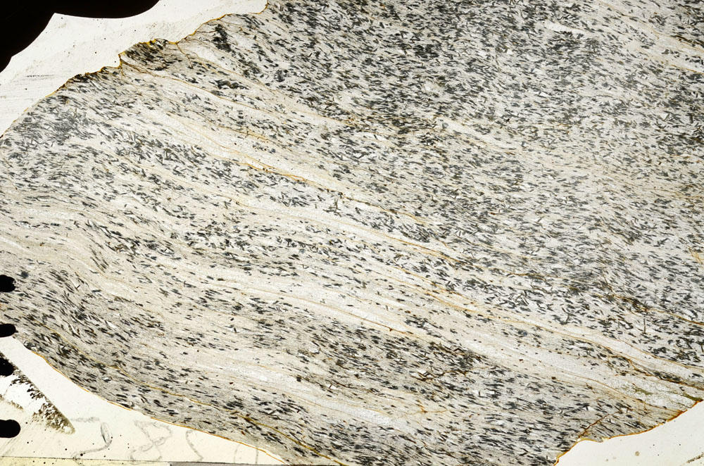 Plane Polarized, S92420