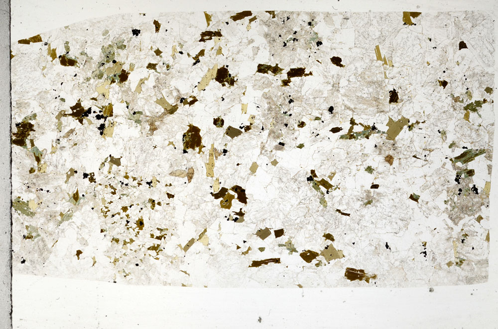 Plane Polarized, S92660