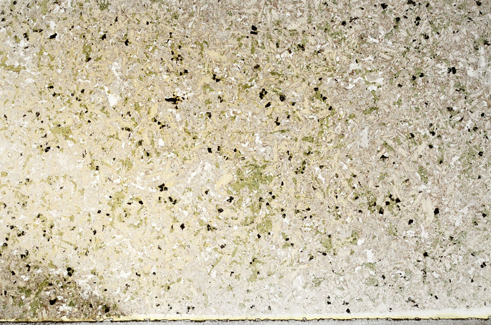 Plane Polarized, S92768