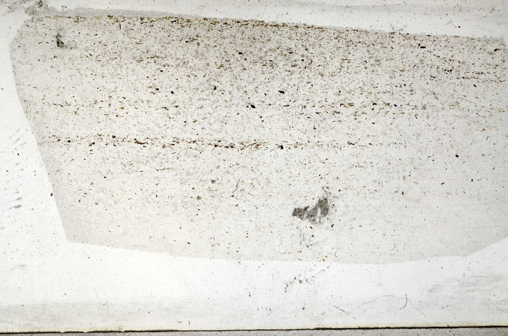 Plane Polarized, S92827