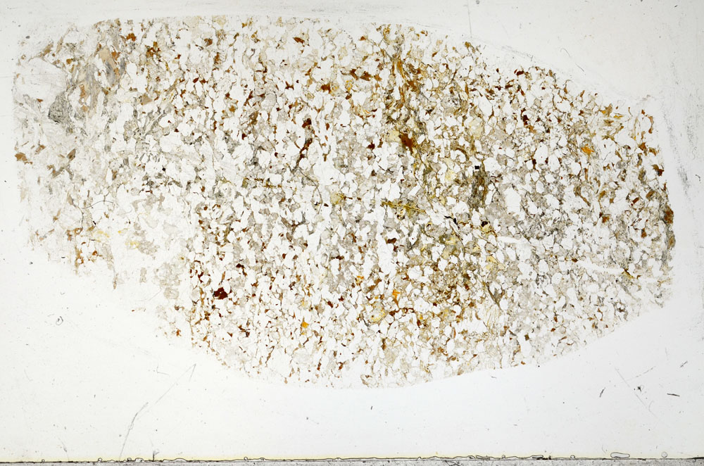 Plane Polarized, S93019