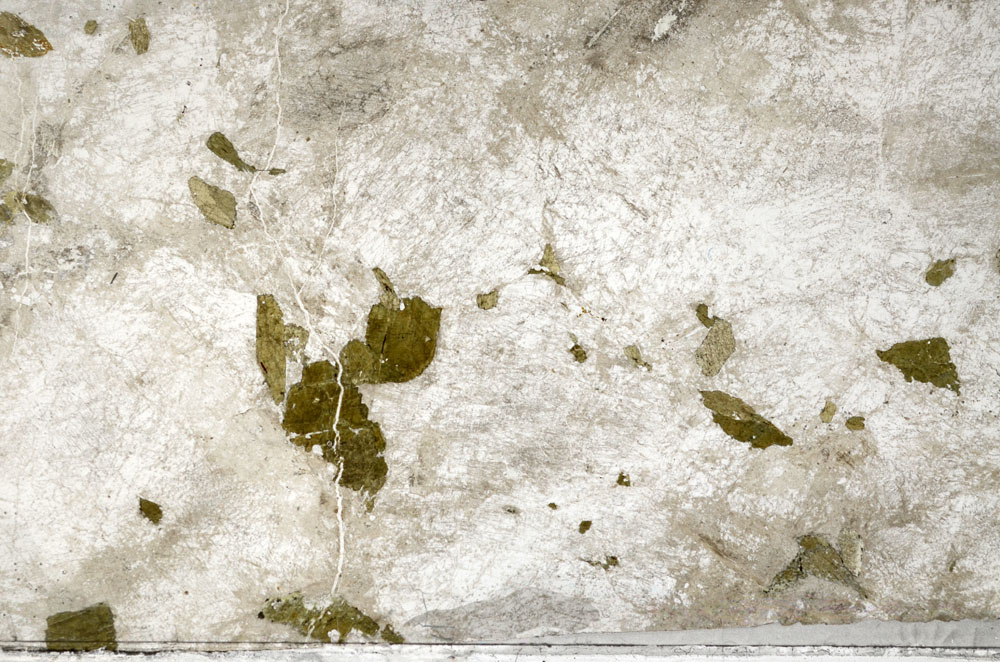 Plane Polarized, S93638