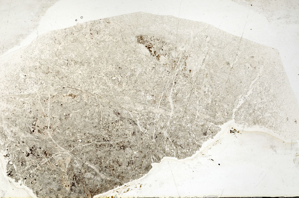 Plane Polarized, S93692/B