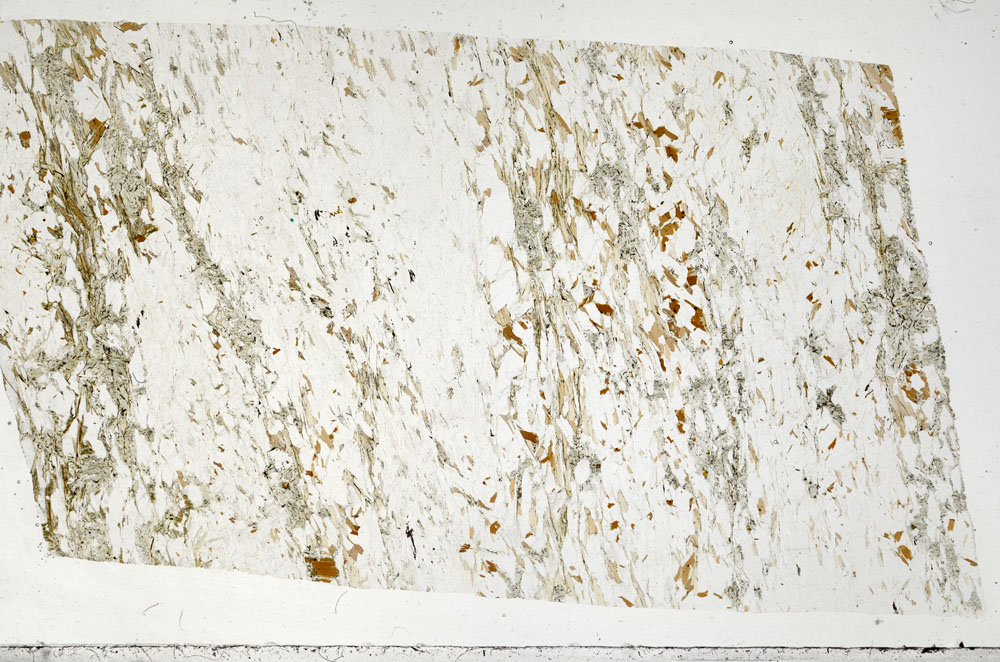 Plane Polarized, S94172