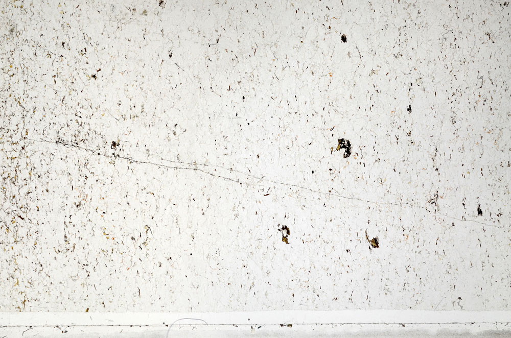 Plane Polarized, S94257