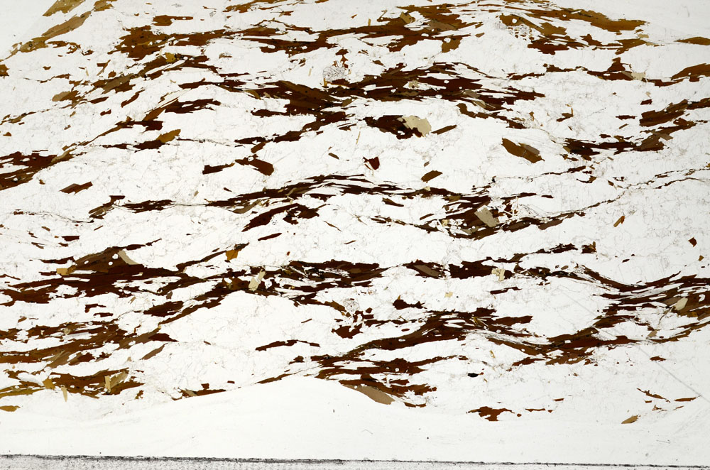 Plane Polarized, S94380