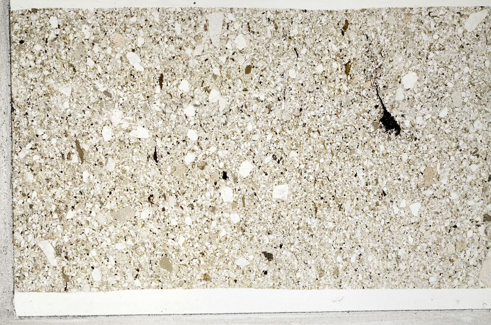 Plane Polarized, S94476