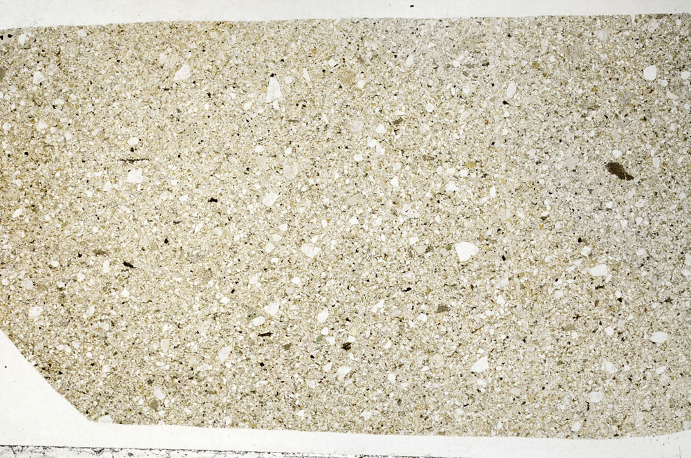 Plane Polarized, S94505