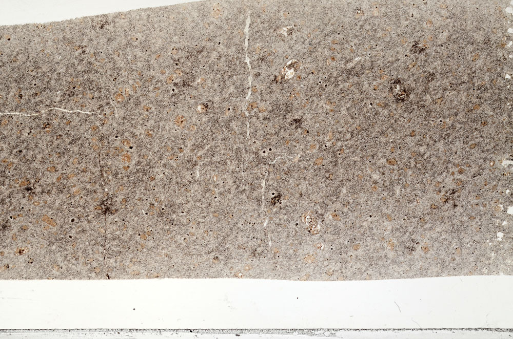 Plane Polarized, S94663