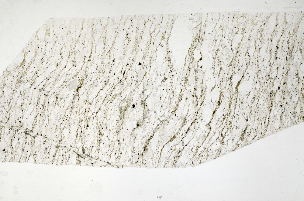 Plane Polarized, S95121