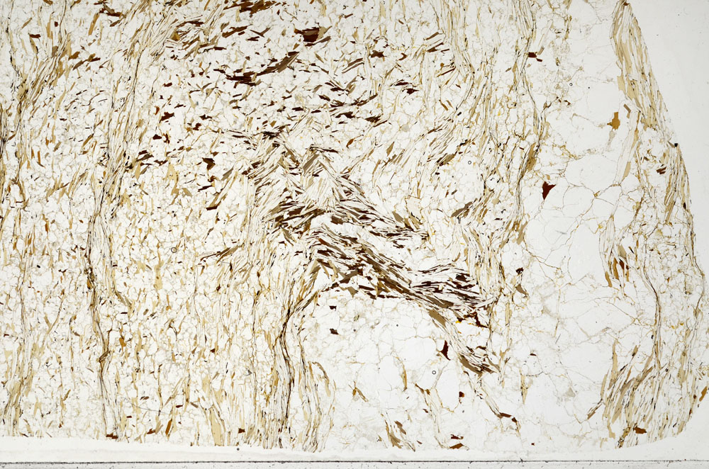 Plane Polarized, S95204