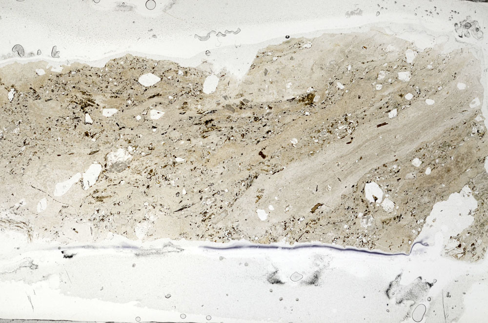 Plane Polarized, S95803