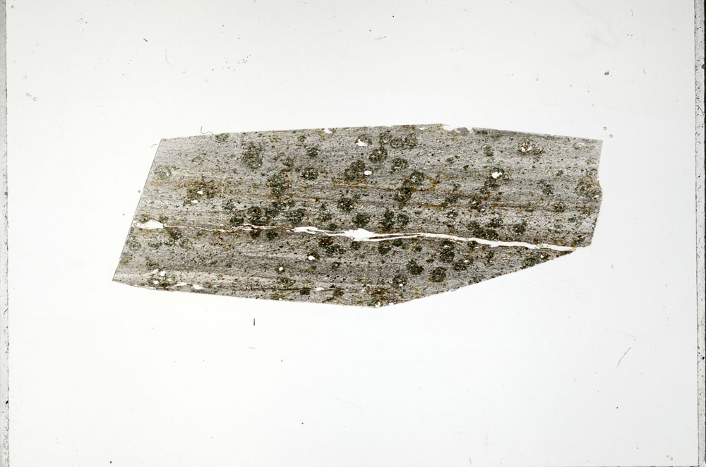 Plane Polarized, S95813