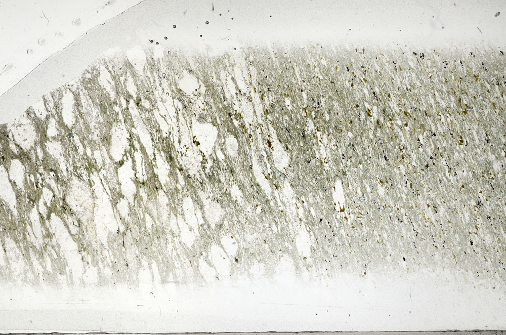 Plane Polarized, S95827