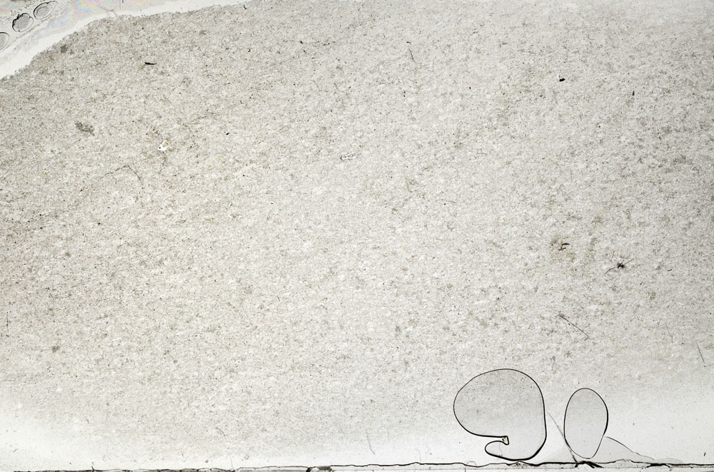 Plane Polarized, S95829