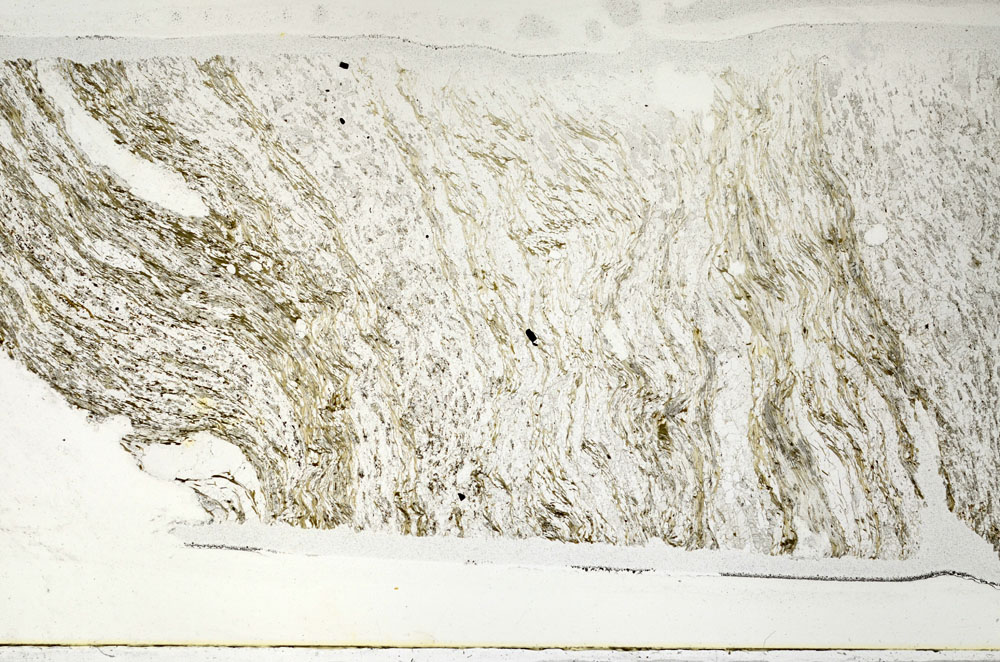 Plane Polarized, S95842