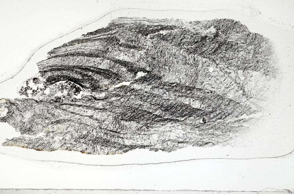 Plane Polarized, S95850