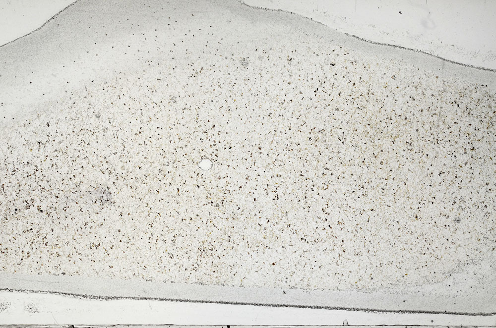 Plane Polarized, S95852