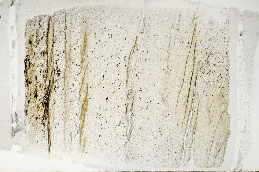 Plane Polarized, S95856