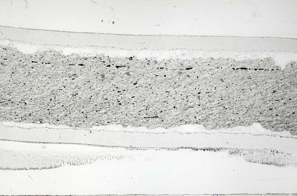 Plane Polarized, S95880