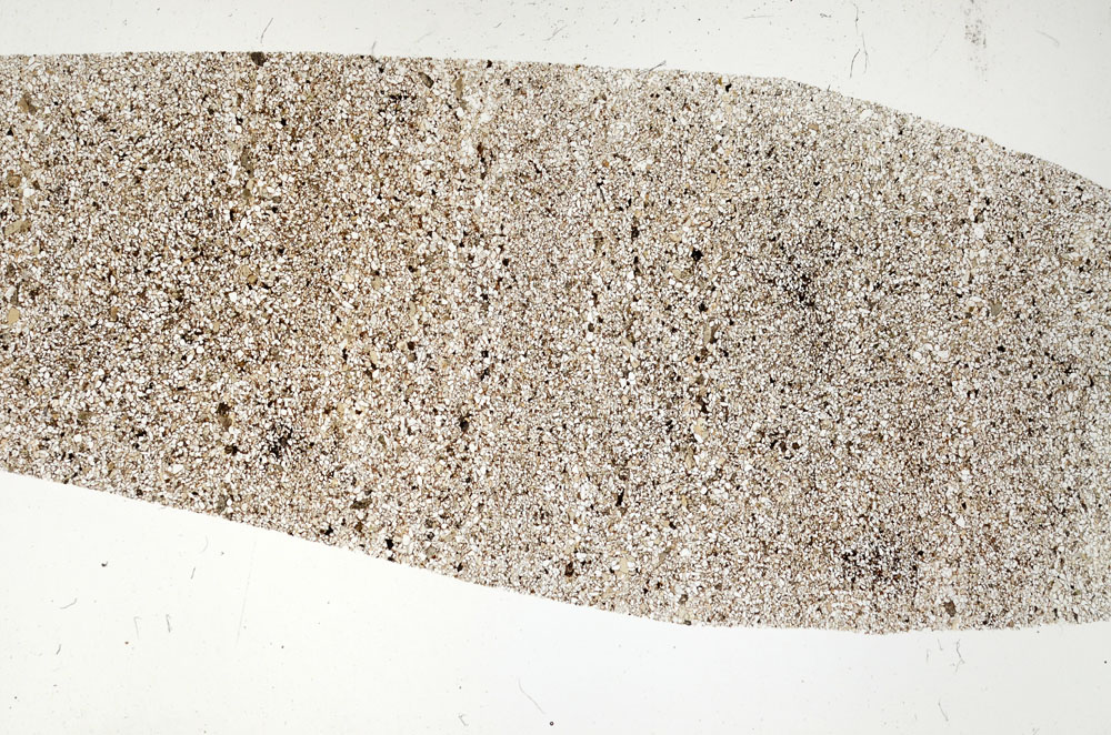 Plane Polarized, S96063