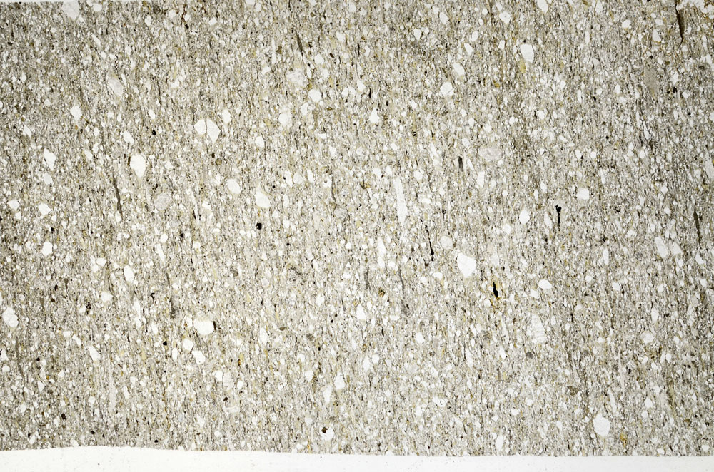 Plane Polarized, S96308