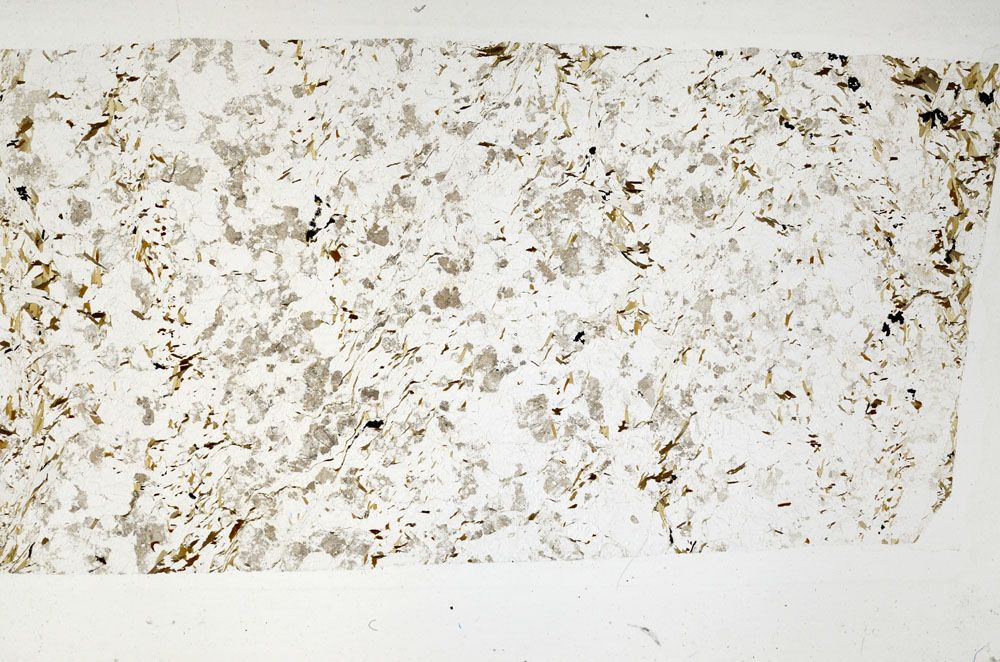 Plane Polarized, S96324