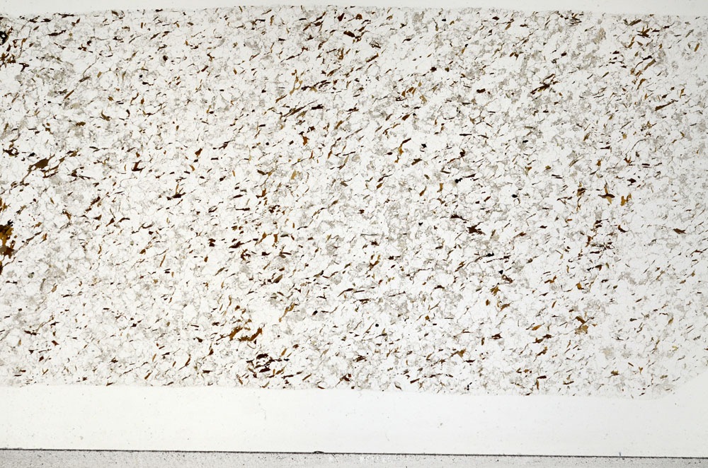 Plane Polarized, S96346